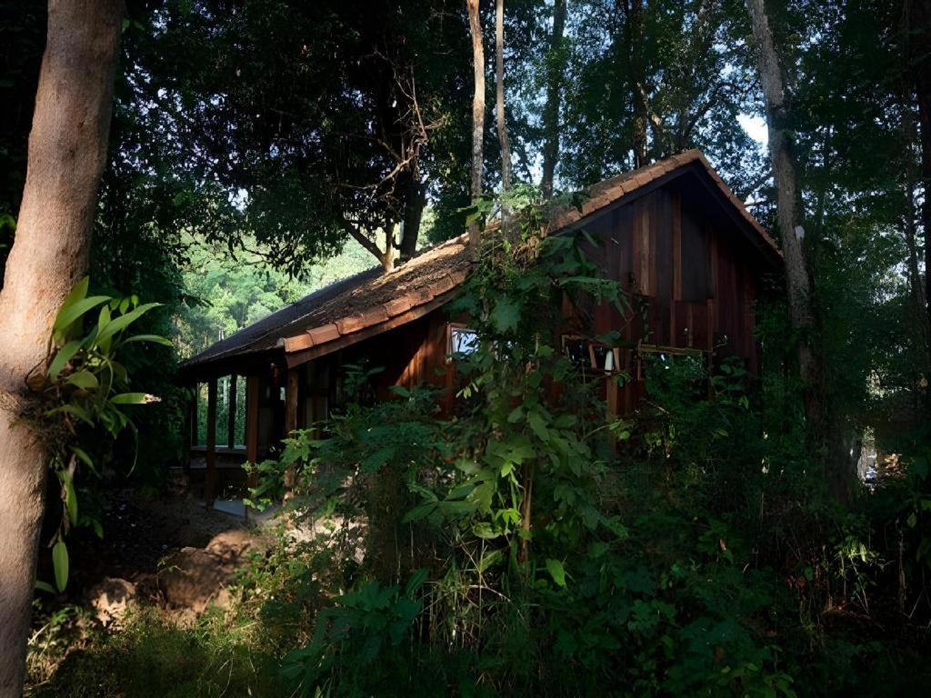 Forest Floor Lodge Cat Tien Exterior photo