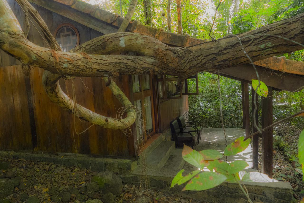Forest Floor Lodge Cat Tien Exterior photo